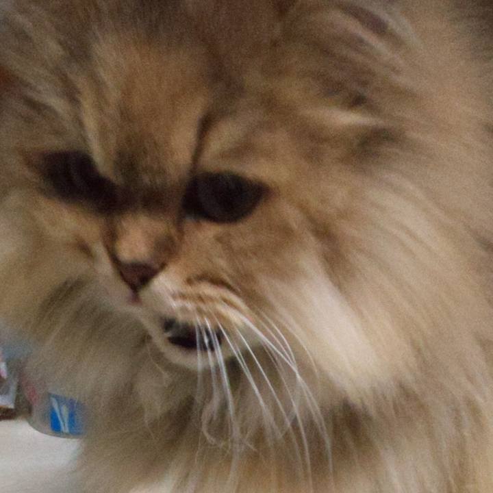 7268fd0d 982d 41e8 8872 1bb33cd4feaf 1607080959574