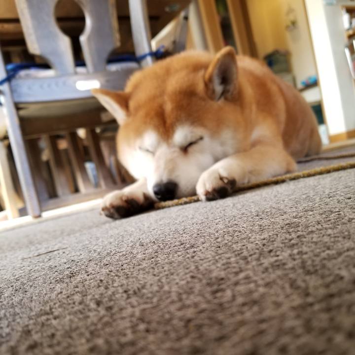 726900b7 a1a3 45d6 a707 556c3cc37818 1574991038637