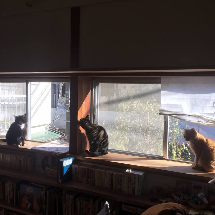 726961e2 2476 4f56 a639 92d9f14e17e8 1515195869000