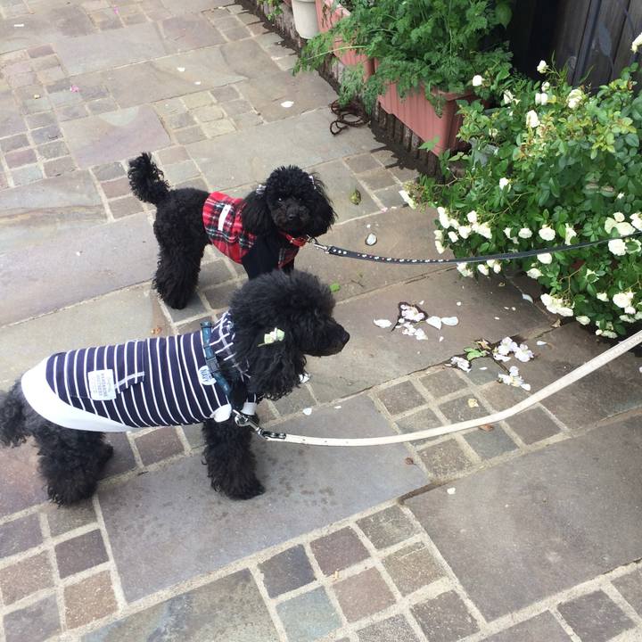 72698b3d 208c 425e 96c1 647e1cc9928a 1700951428876