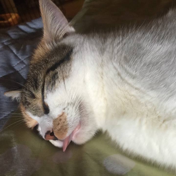 7269945a 3346 4e8f 8aae dc3e73e3a098 1659855160309