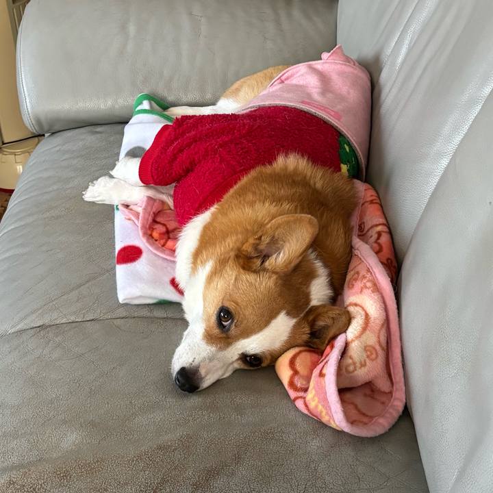 72699b1c bbb6 4efc 88c8 0284aa166c5e 1766104925175