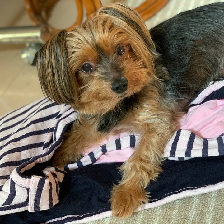 7269ab6d 8dbb 4269 a25a f220f2ae39c1 1596350598092