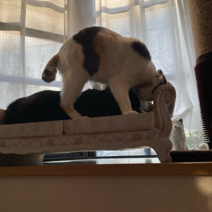 7269b8dc d73e 400e 8f97 812cacd0cc13 1678141386064