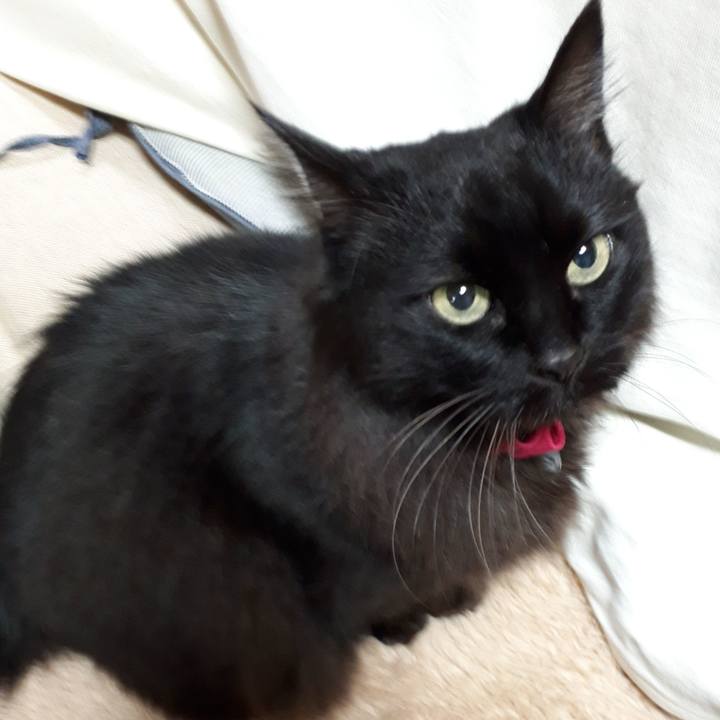 7269f760 ecf7 4a81 a747 ae7c456a2b19 1518992143845