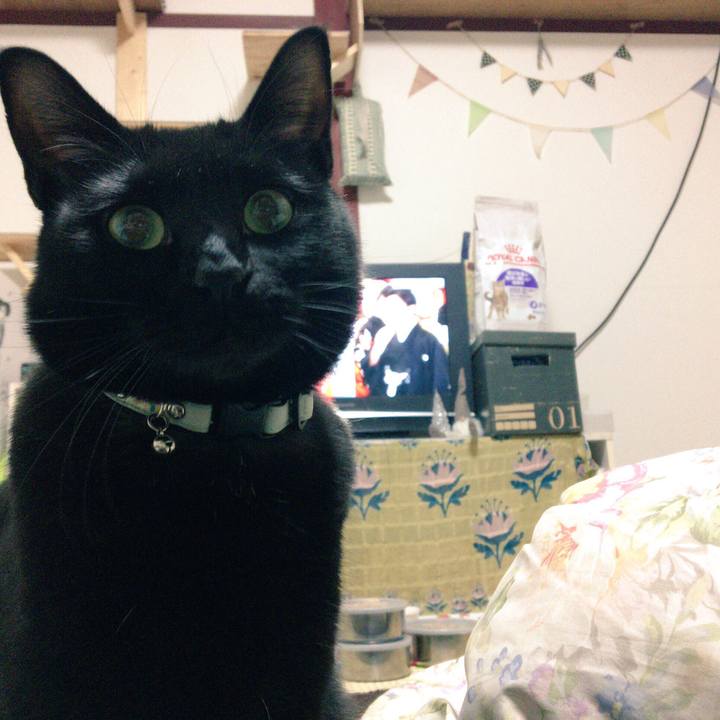 726a05db 4caa 46fc a38d 94c30a677450 1514731994484