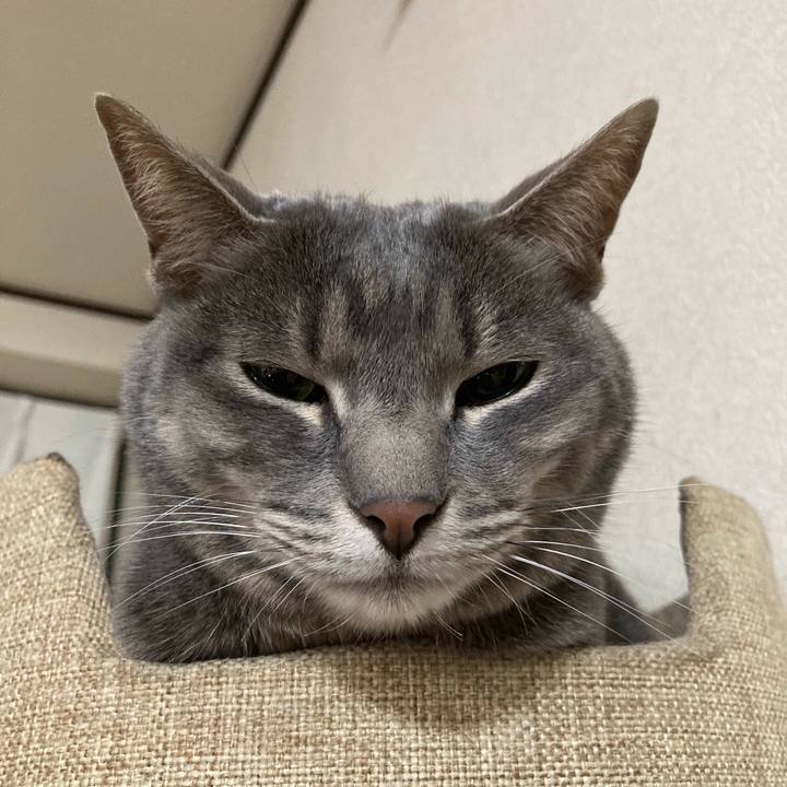 726a20b7 b00e 47b0 bebd 4bca6c4912eb 1619187670869