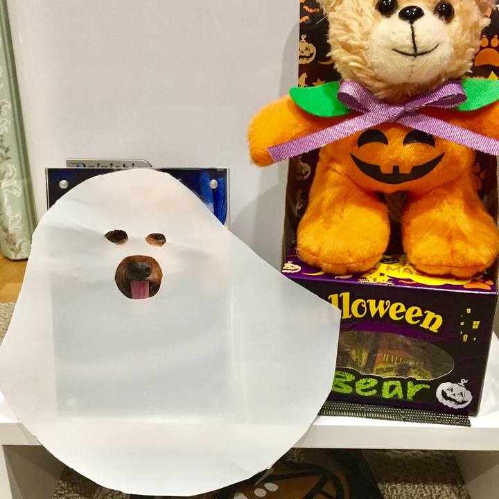 726a64eb 62af 4e06 8bf0 13ba4e2d133d 1540970498906