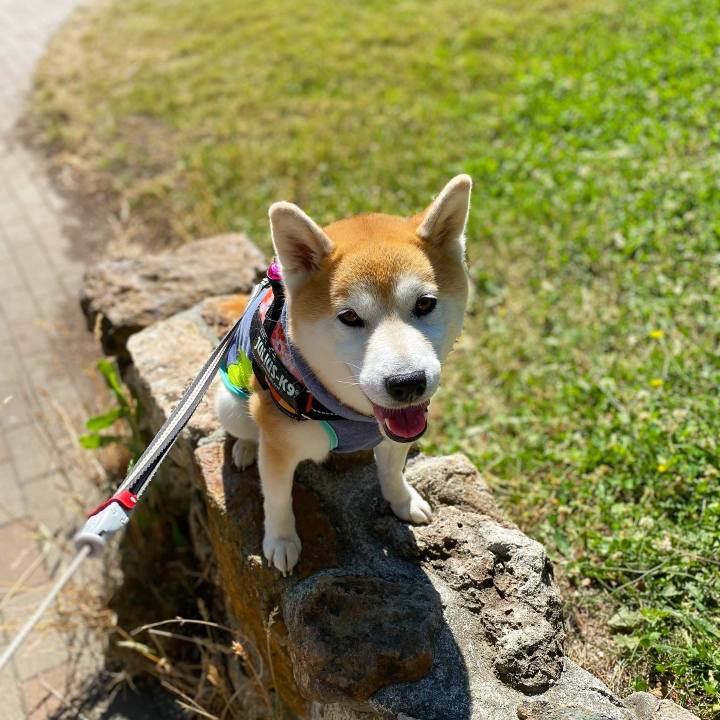 726a773b d945 4a10 b01c a739f01b6600 1626337717928