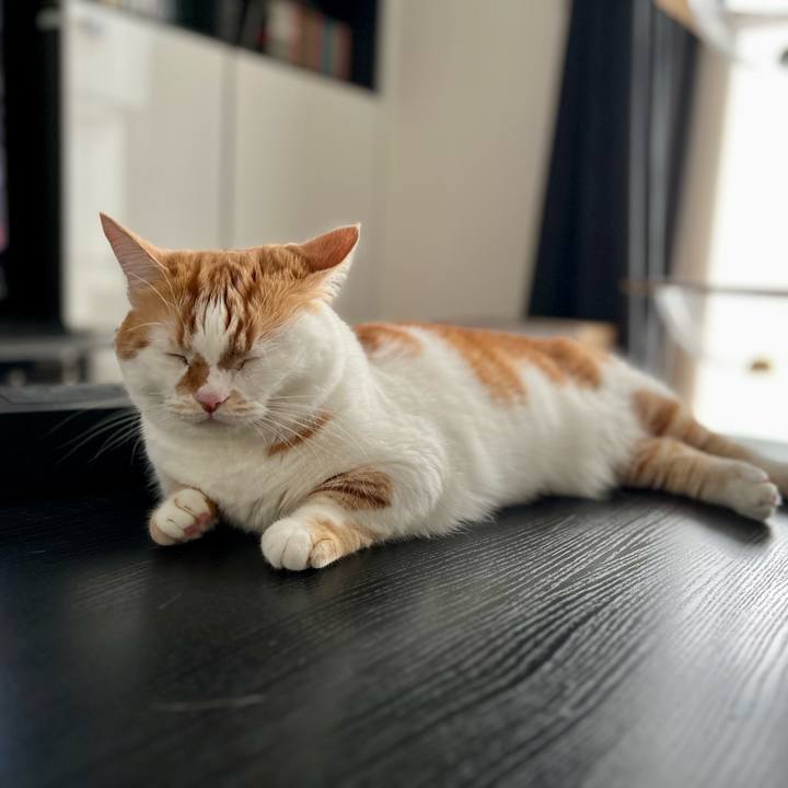 726a9d4d 88c4 4c20 964a a1de07a41d36 1754883237485