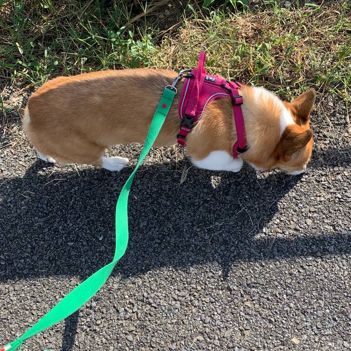 726ade1e 00cc 4f31 8dd5 1022d496d18e 1633487817578