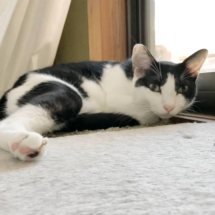 726af53d 1cd9 4d3f 8522 3ee92bc6fdc1 1536458471104