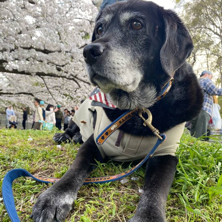 726b0a40 bba4 4e85 aa2f 35537ae91878 1712489000331