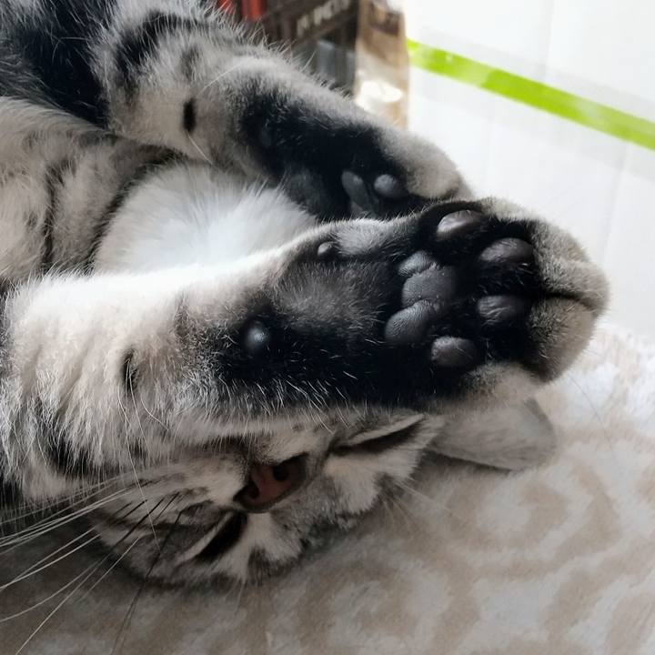 726b1fff efe4 4058 8562 dbb3dd45a2d2 1659350630427