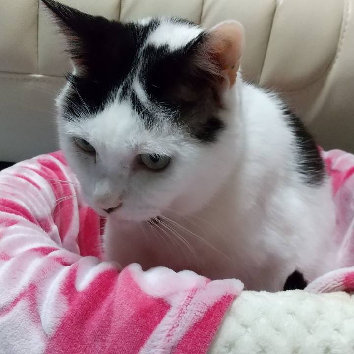 726b365b b3d5 4596 b121 fe54f02c2eaa 1633241335111