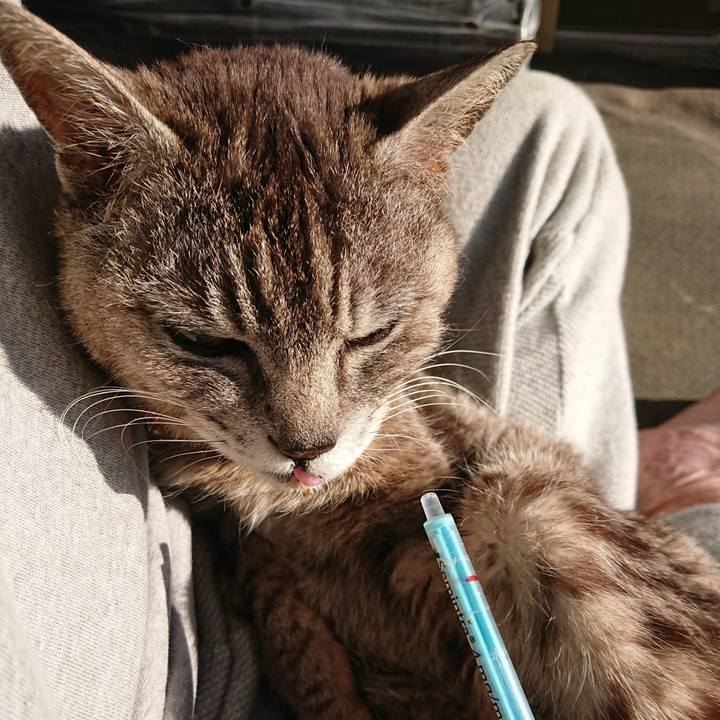 726b4f89 2e99 48c4 83dc 74bc0c8187f0 1591564600465