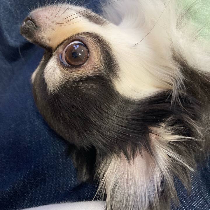 726b8c40 927c 463e a8e8 db473c30fa0b 1648909391068