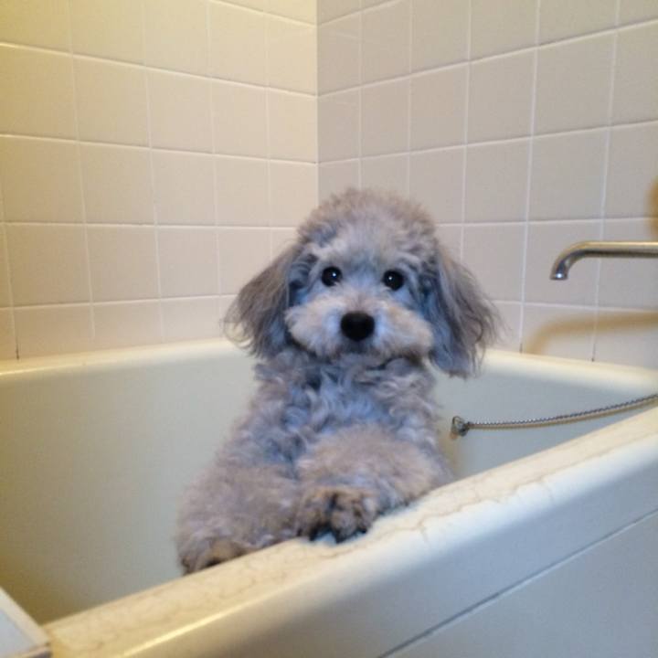 726bb694 1df2 4b2a 8596 4fb28818c63f 1750811183755