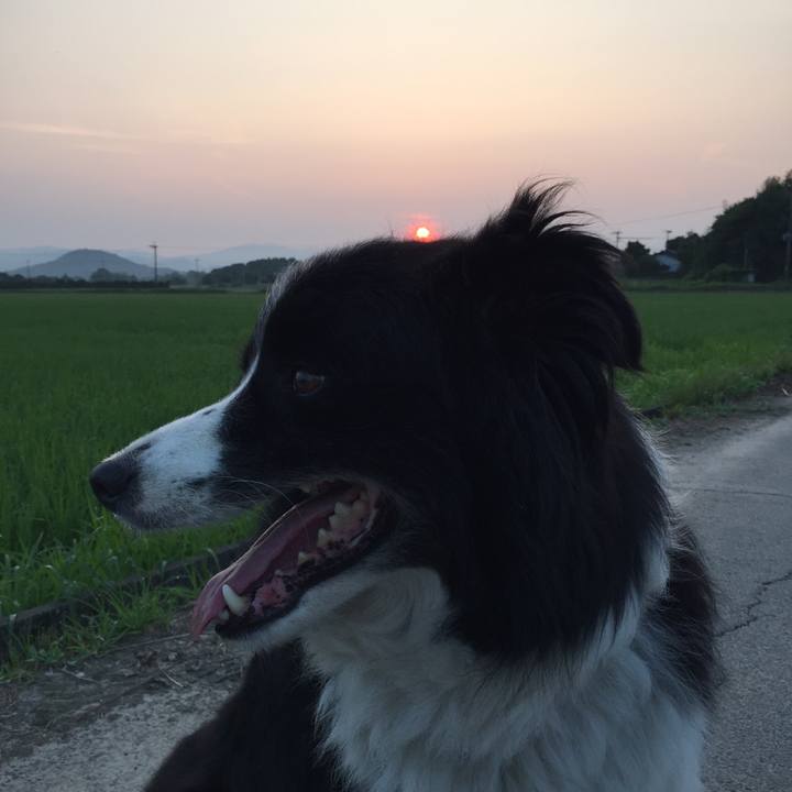 726c2c40 a663 4653 ae4b a333f5ac234b 1532551711546