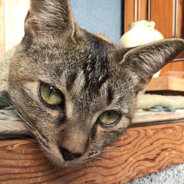 726c3850 2089 4e6e bc82 c3e204438a1b 1576387667275