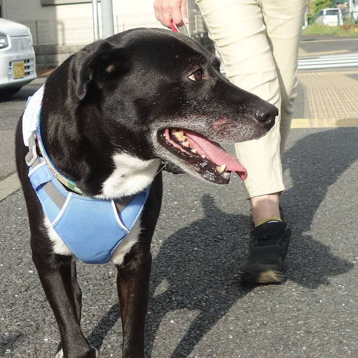 726c57a9 fe79 448e 9147 4184ceca9735 1691456741761