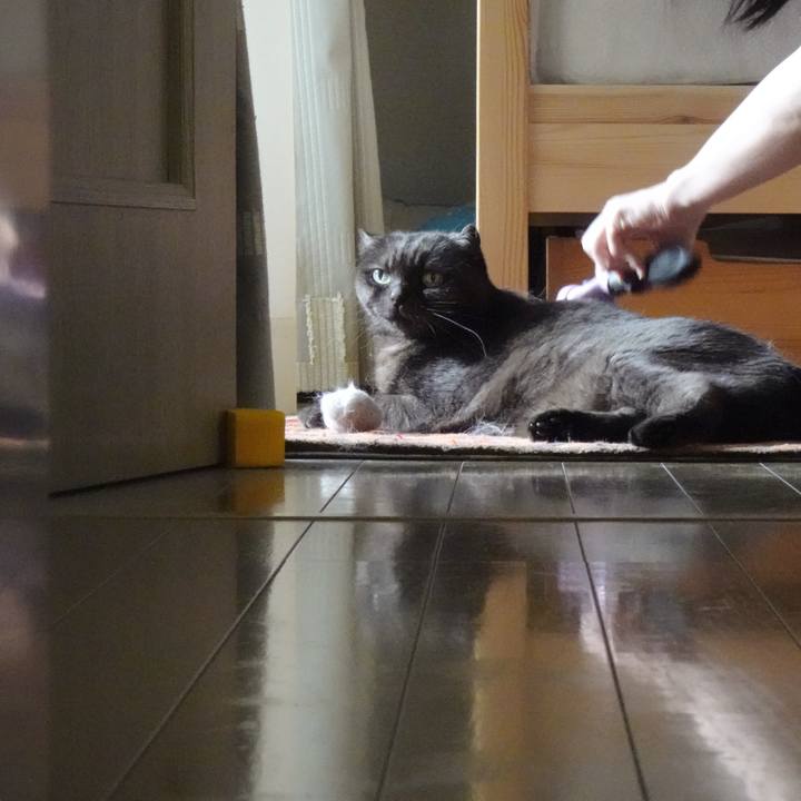 726c6313 ef15 4920 b48e 65f3caeb5092 1588582694061