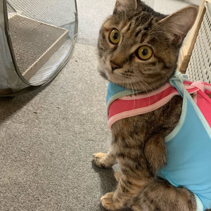 726c7128 3107 41a9 9437 886a820dc6ff 1609729579296