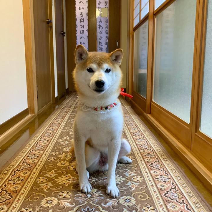 726cbd3c cfa0 40f8 b6c1 25e40b320f73 1662460156809