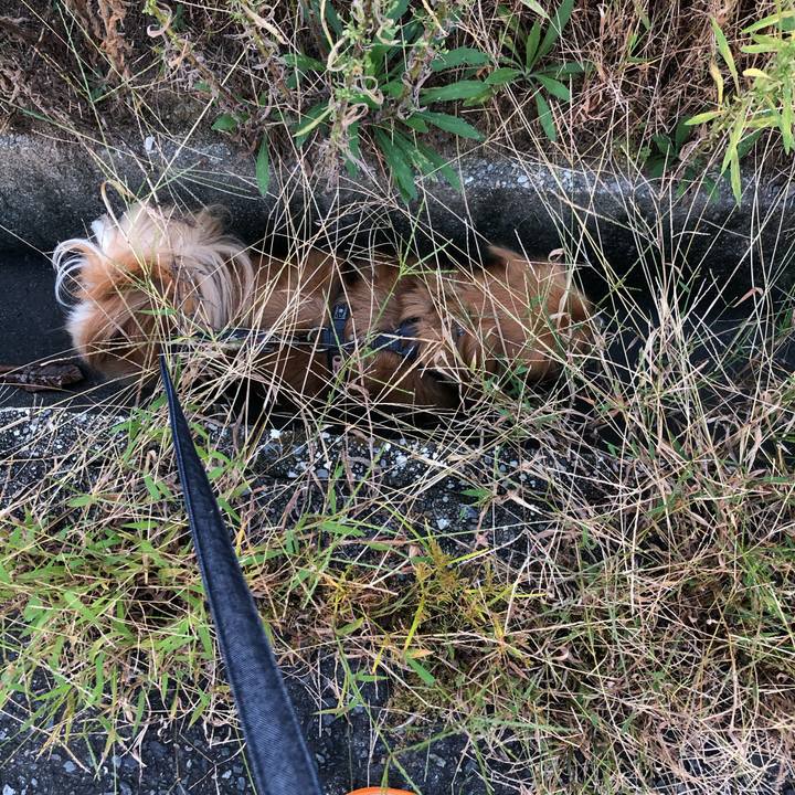 726cc29c 7b9a 476a b5cb 89e7b8d9b4d8 1570658830949