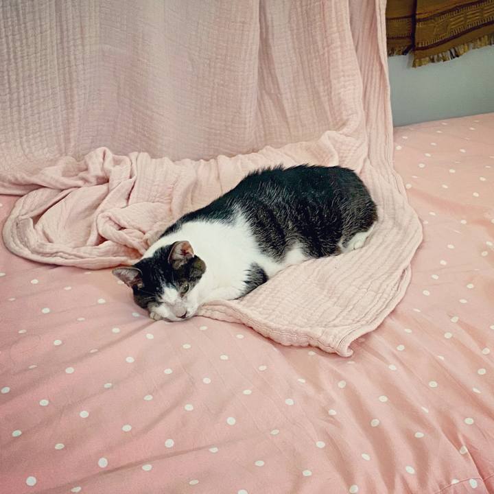 726ccd6c 207a 406e 853c 5f9a86a9b98e 1599977007223