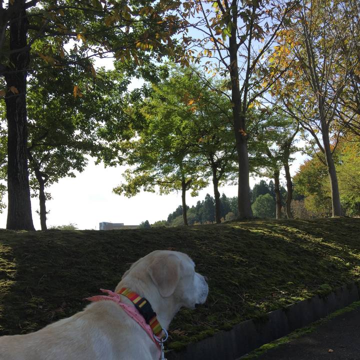 726cd0d8 b9ee 4223 9f56 a7985056e707 1508818221677