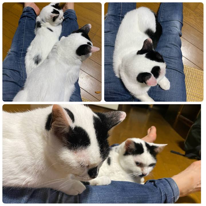 726cd9df 8169 46ea 9206 35e642135755 1751292653761