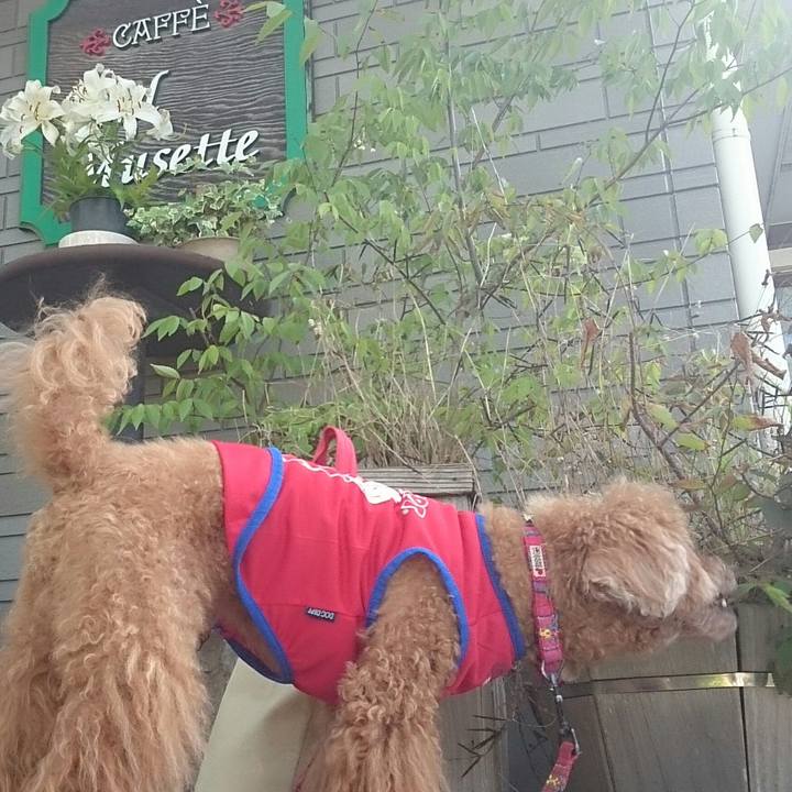 726d2882 03cd 4d72 8ea8 47739fa847d0 1533349028639