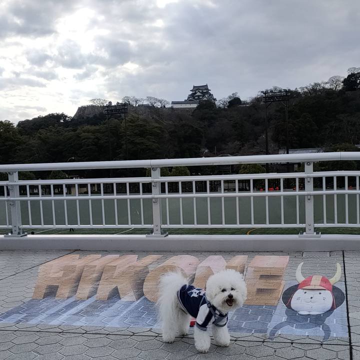 726d523d 9065 4e0a 8861 0b5d93bacfcd 1767515051299