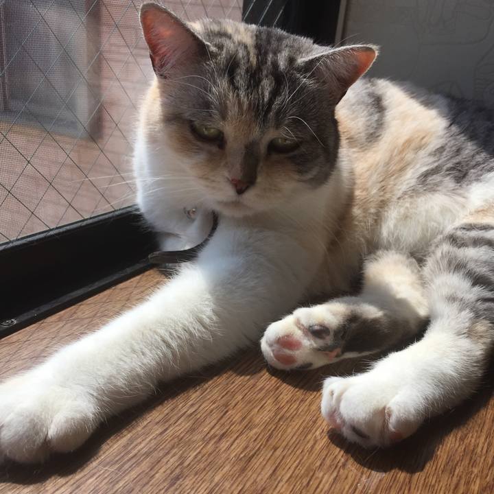 726d8475 bdc2 4bdb 82ba efe6e8ee8f62 1554521677428