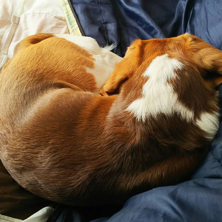 726d9867 248a 4fa4 80b5 3e7b25e56500 1518916217177