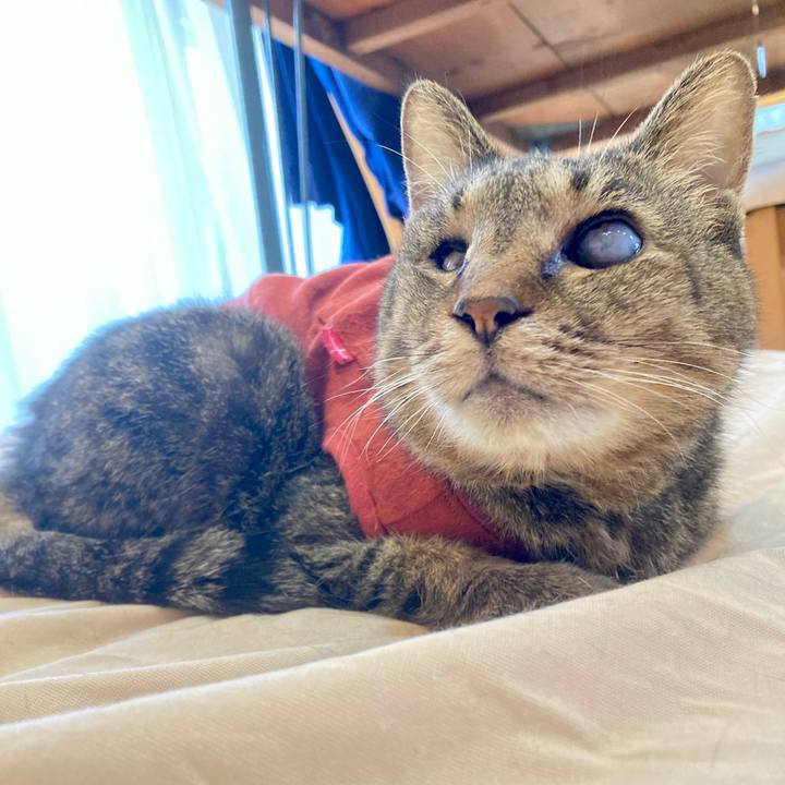 726da09d d4ed 4cc4 93e5 36d62747799d 1681769769466