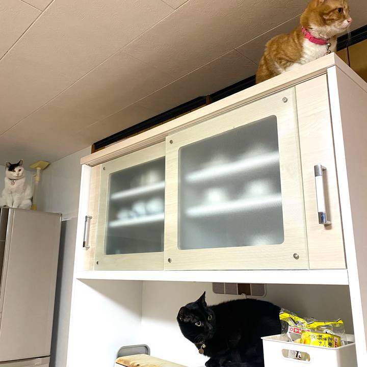 726de9cc b8c7 4a92 a5c0 43ce0e1a3da2 1643063563678