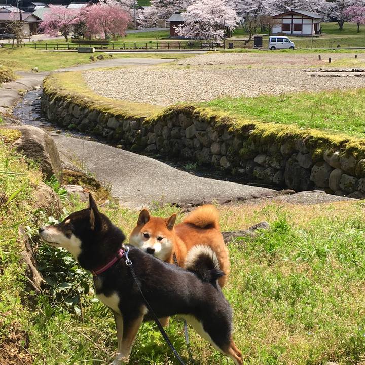 726dee59 4fe4 4f9d 8217 75776a12dfee 1586063157422