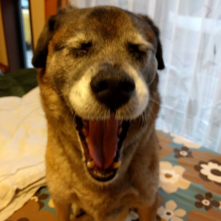 726dfa64 88a4 4b57 84d8 fa083351d943 1721175361248