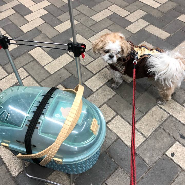 726dfa65 5319 4dcd 9e5a c1f3757882f7 1547945237949