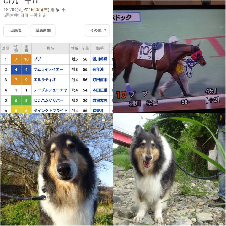 726e0b0b 1540 4403 b1e7 7b1bb6712aea 1593094566030