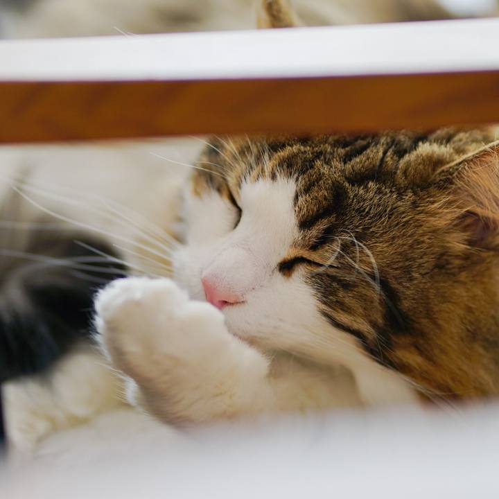 726e2c42 7ffc 497d bf50 87a71c4f50a4 1616475096601