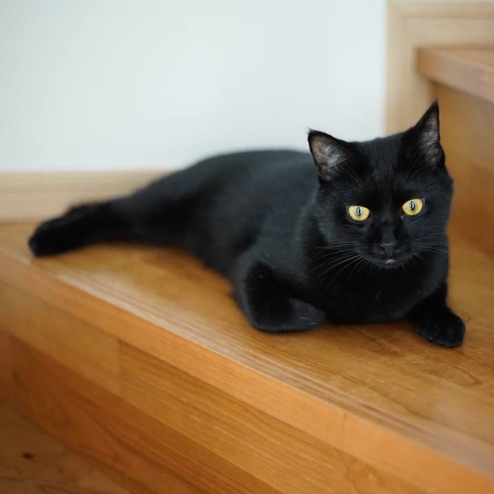 726e37dc be06 4b2b a588 cc320311fb54 1529623670754