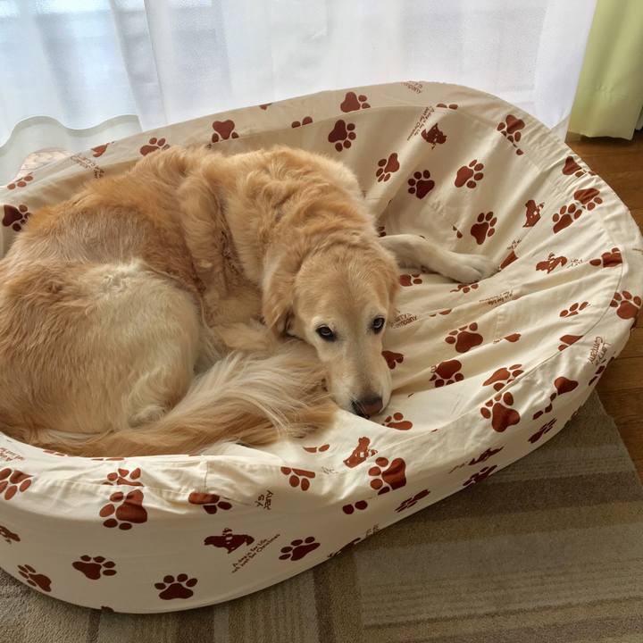 726e4acd 3d73 4302 8cdc 4feaefa86025 1542758138638