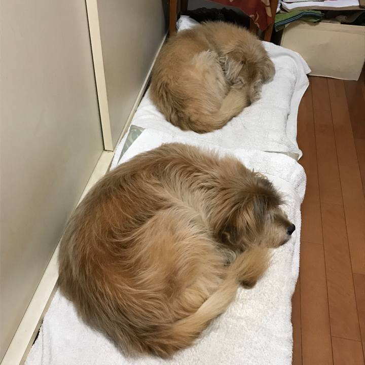 726e8490 b364 41f4 92ca ac8c2065f805 1576738172149