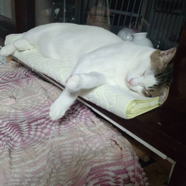 726e8fc2 1b78 4f4a a00b 0831afcedc2d 1735471577329