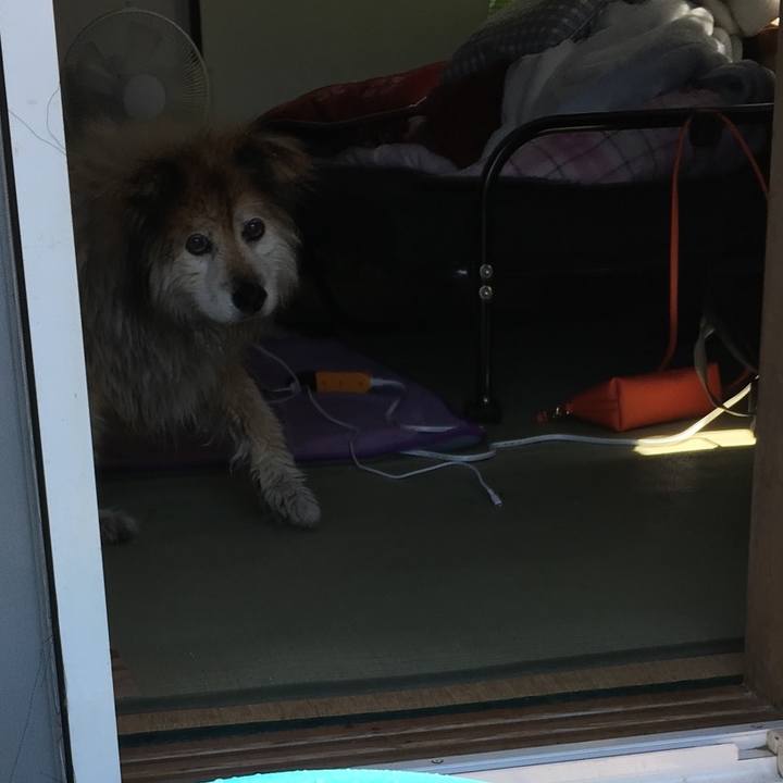 726ec13f 6ec0 4805 a0cd ddf5c2e7a474 1620415758262