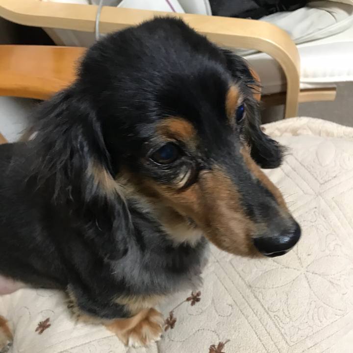 726edbcc a171 4a4a b2c4 692753dd6943 1518732267268