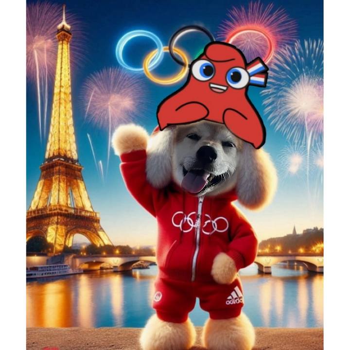 726f0d3c 54aa 4cd2 8ea1 c11efbc27fb8 1722159527054